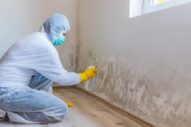 Mold Remediation for Vacation Homes in Collierville, TN