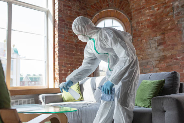 Best Emergency Mold Remediation  in Collierville, TN