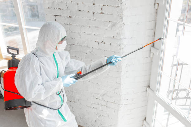 Best Forensic Mold Investigation  in Collierville, TN