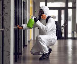 Best Industrial Mold Remediation  in Collierville, TN