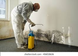  Collierville, TN Mold Removal Services Pros